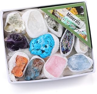 JOVIVI Healing Crystals Set,Raw Crystals And Gemstones Healing Stones Gem Stone Crystal Gifts Witchy Witchcraft Wiccan Reiki Spiritual Gifts for Women,8-15pc In Box
